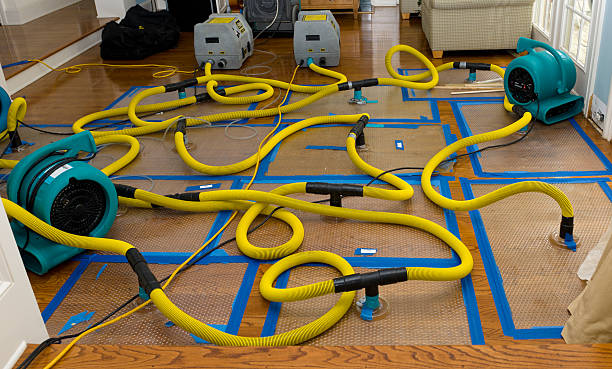Professional Basement Flood Cleanup technician working in St Columbans, NE